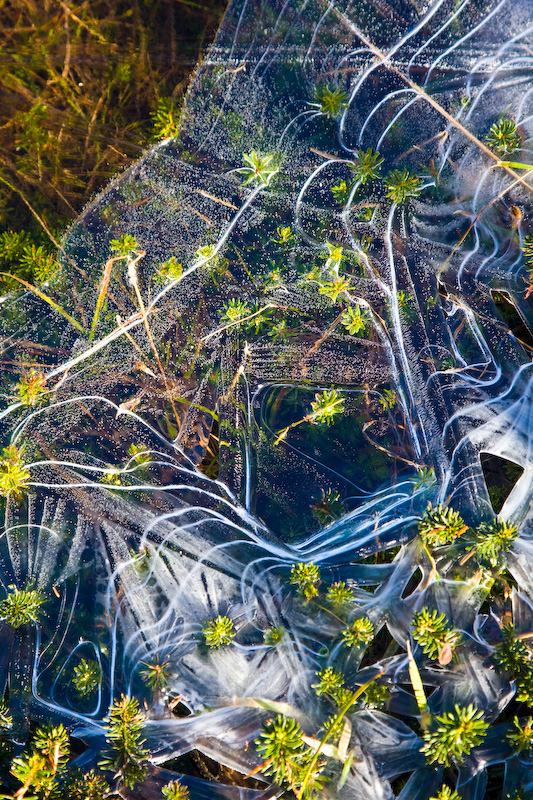 Edge Of Frozen Tarn